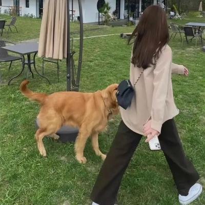 锦绣令